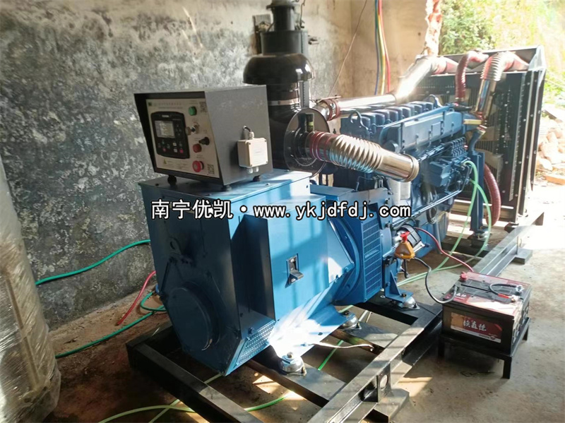2024年3月5日，200kw濰坊雷納發(fā)電機(jī)組某學(xué)校到貨安裝